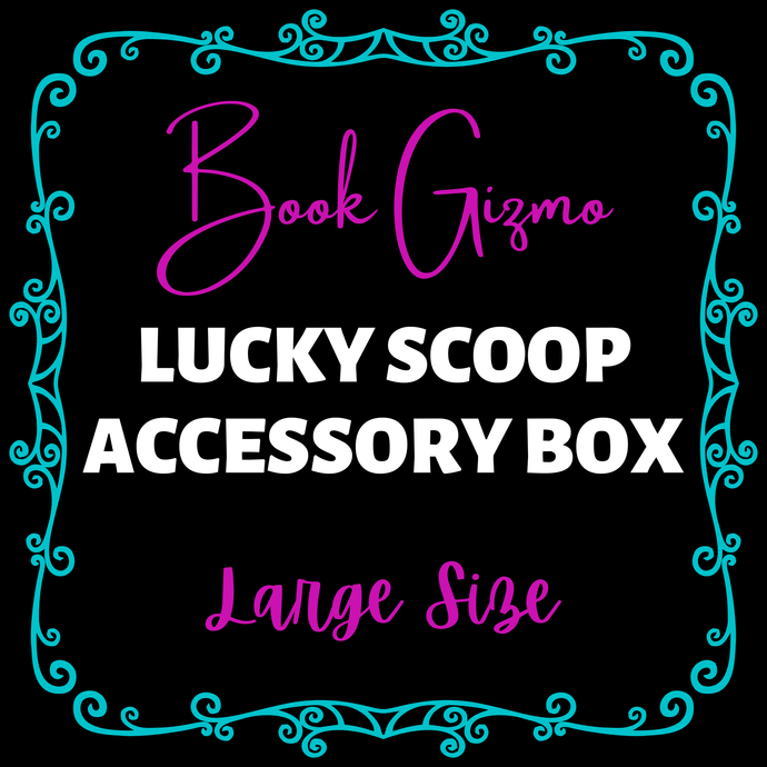 Lucky Scoop Accessory Box - Large Size