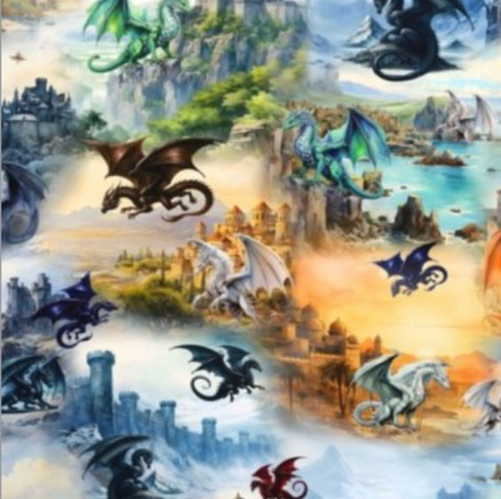 Book Sleeve - Land of Dragons